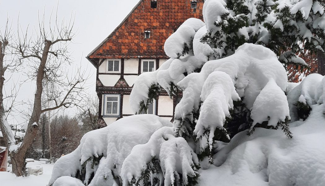 Ostseite im Winter 2021