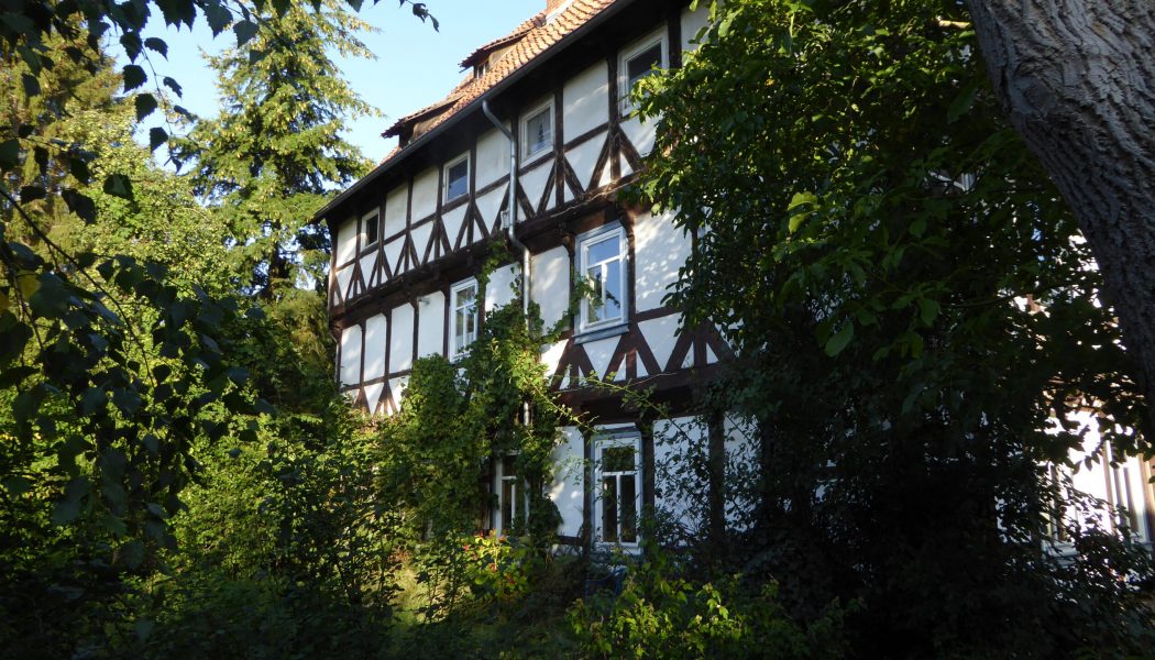 Südseite Herbst 2018